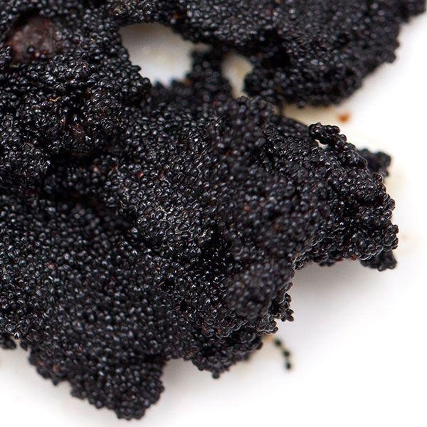 【佳林農產】頂級香草魚子醬 (Vanilla Caviar) ｜ 100%純香草籽 奢華米其林/預約制甜點專用