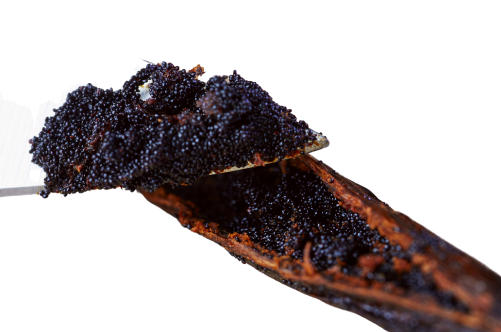 【佳林農產】頂級香草魚子醬 (Vanilla Caviar) ｜ 100%純香草籽 奢華米其林/預約制甜點專用